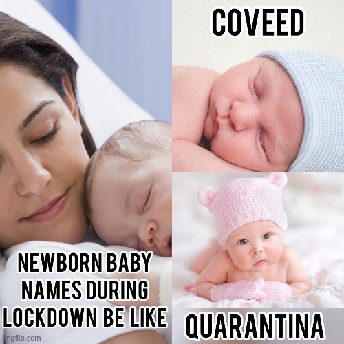 COVID Babies | image tagged in covid19,quarantine,baby,coronavirus | made w/ Imgflip meme maker