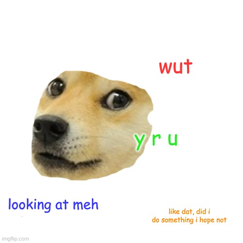 Doge | wut; y r u; looking at meh; like dat, did i do something i hope not | image tagged in memes,doge | made w/ Imgflip meme maker