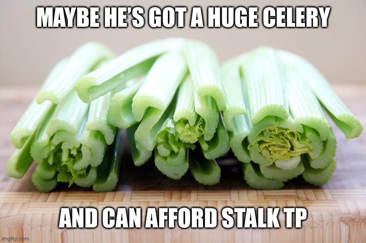 celery | MAYBE HE’S GOT A HUGE CELERY AND CAN AFFORD STALK TP | image tagged in celery | made w/ Imgflip meme maker