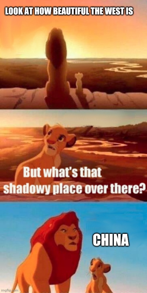 The Shady Chinese | LOOK AT HOW BEAUTIFUL THE WEST IS; CHINA | image tagged in memes,simba shadowy place | made w/ Imgflip meme maker