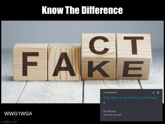 Fact vs. Fake: Think you can handle the TRUTH? | image tagged in fake news,to kill a mockingbird,the truth,qanon,the great awakening,donald trump approves | made w/ Imgflip meme maker
