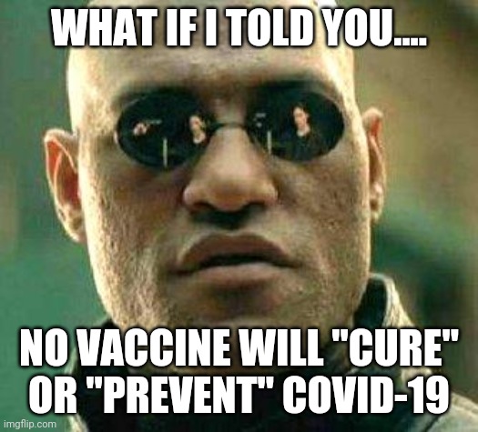 But it will make Gates boatloads of cash as he drops ID2020 on your heads. | WHAT IF I TOLD YOU.... NO VACCINE WILL "CURE" OR "PREVENT" COVID-19 | image tagged in what if i told you,gates,vaccine,covid,id2020 | made w/ Imgflip meme maker