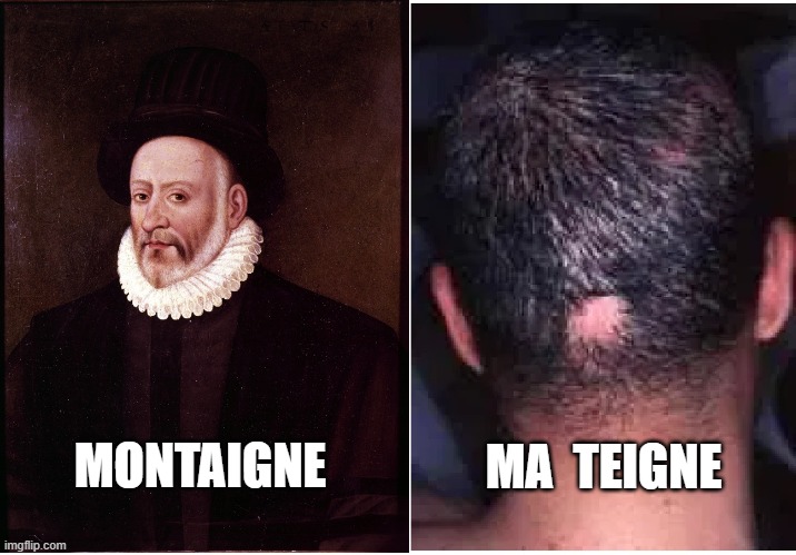 MA  TEIGNE; MONTAIGNE | image tagged in french,literature,disease,genius | made w/ Imgflip meme maker