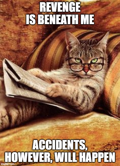 ANNOYED CAT | REVENGE IS BENEATH ME; ACCIDENTS, HOWEVER, WILL HAPPEN | image tagged in annoyed cat,funny cats,revenge,cat,anger,cats | made w/ Imgflip meme maker