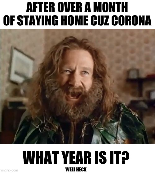 We all know this feeling now | AFTER OVER A MONTH OF STAYING HOME CUZ CORONA; WHAT YEAR IS IT? WELL HECK | image tagged in memes,what year is it | made w/ Imgflip meme maker