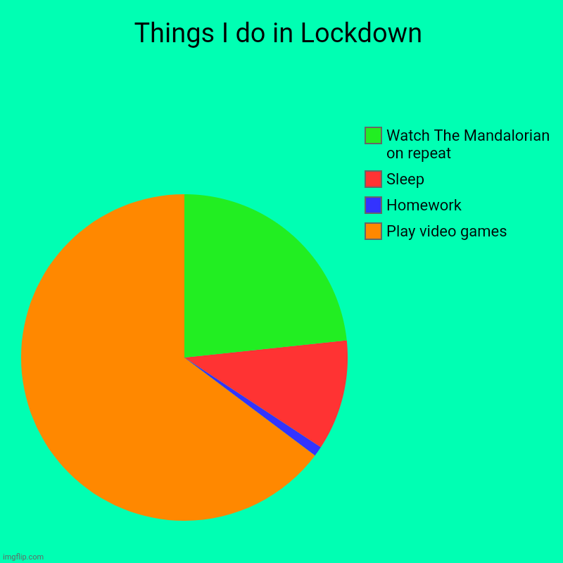 Things I do in Lockdown | Play video games, Homework, Sleep, Watch The Mandalorian on repeat | image tagged in charts,pie charts | made w/ Imgflip chart maker