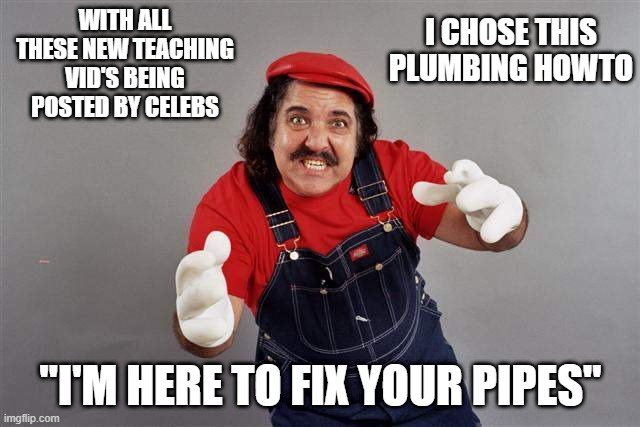 Ron the man | I CHOSE THIS PLUMBING HOWTO; WITH ALL THESE NEW TEACHING VID'S BEING POSTED BY CELEBS; "I'M HERE TO FIX YOUR PIPES" | image tagged in plumbing,lockdown,homeschool | made w/ Imgflip meme maker