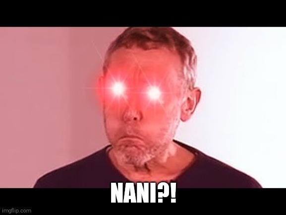 NANI? | NANI?! | image tagged in nani | made w/ Imgflip meme maker