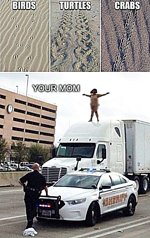 YOUR MOM | image tagged in mom | made w/ Imgflip meme maker