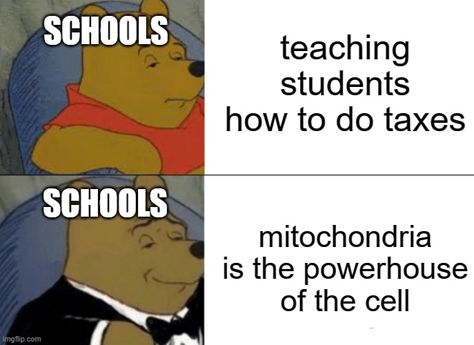 Tuxedo Winnie The Pooh Meme | teaching students how to do taxes; SCHOOLS; SCHOOLS; mitochondria is the powerhouse of the cell | image tagged in memes,tuxedo winnie the pooh | made w/ Imgflip meme maker