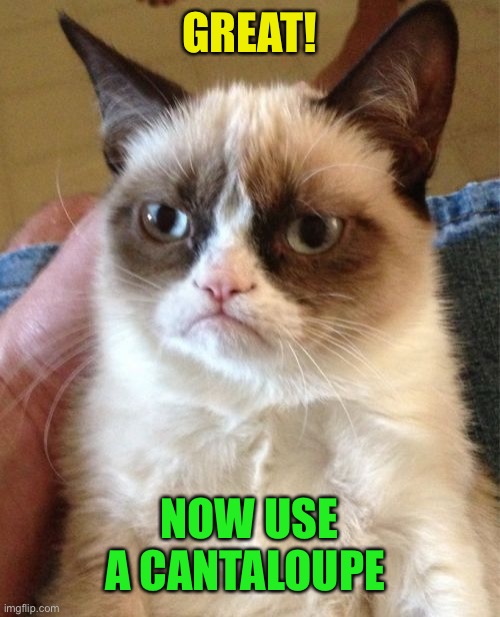 Grumpy Cat Meme | GREAT! NOW USE A CANTALOUPE | image tagged in memes,grumpy cat | made w/ Imgflip meme maker