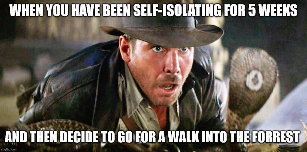 WHEN YOU HAVE BEEN SELF-ISOLATING FOR 5 WEEKS; AND THEN DECIDE TO GO FOR A WALK INTO THE FORREST | image tagged in indiana jones,covid-19 | made w/ Imgflip meme maker