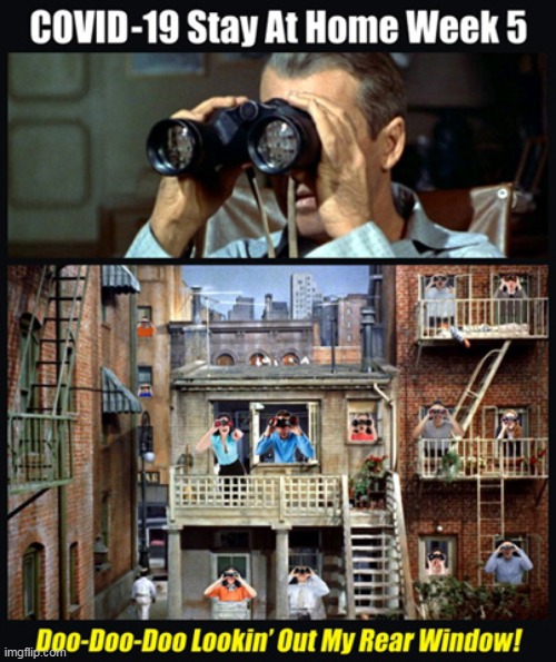 Alfred Hitchcock's "Rear Window" 1954 | image tagged in memes,covid-19,stay at home,jimmy stewart,alfred hitchcock,rear window | made w/ Imgflip meme maker