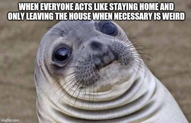 Awkward Moment Sealion | WHEN EVERYONE ACTS LIKE STAYING HOME AND ONLY LEAVING THE HOUSE WHEN NECESSARY IS WEIRD | image tagged in memes,awkward moment sealion | made w/ Imgflip meme maker