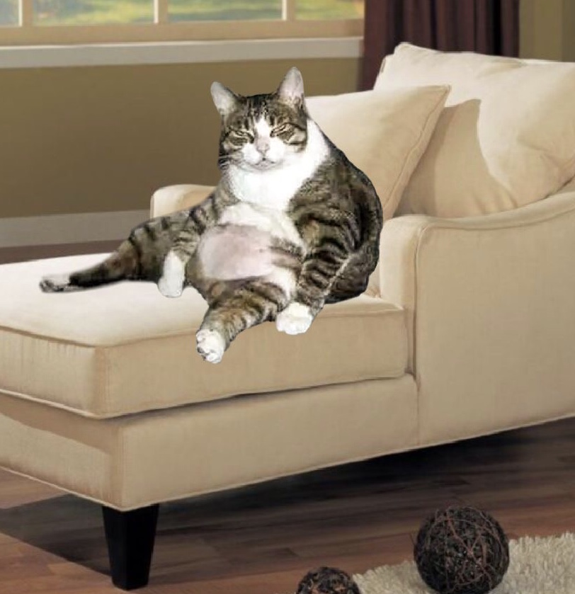 Fat Cat On Lounge Chair Blank Meme Template