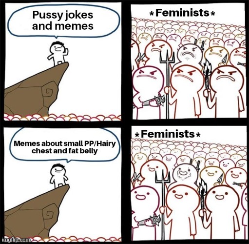 image tagged in triggered feminist,funny,memes | made w/ Imgflip meme maker