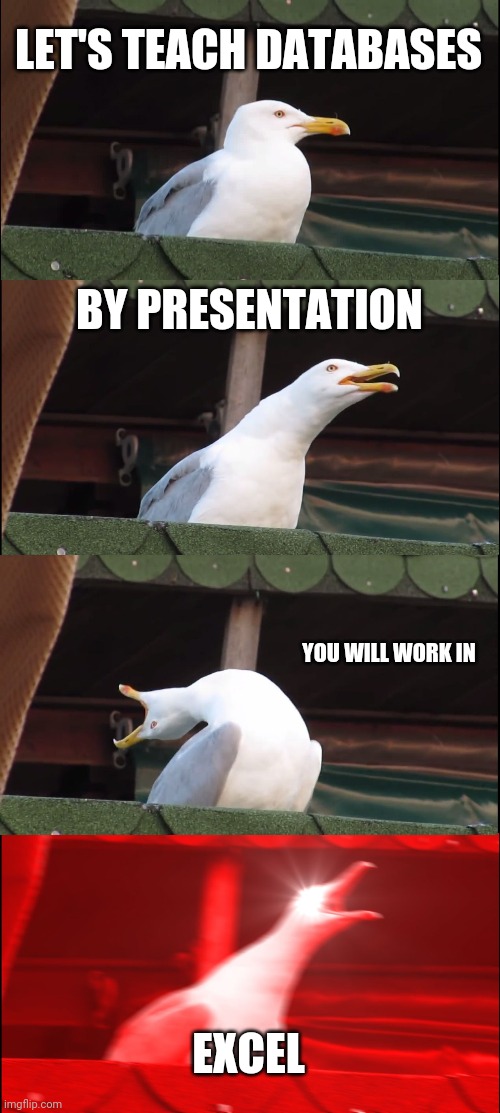 Inhaling Seagull | LET'S TEACH DATABASES; BY PRESENTATION; YOU WILL WORK IN; EXCEL | image tagged in memes,inhaling seagull | made w/ Imgflip meme maker