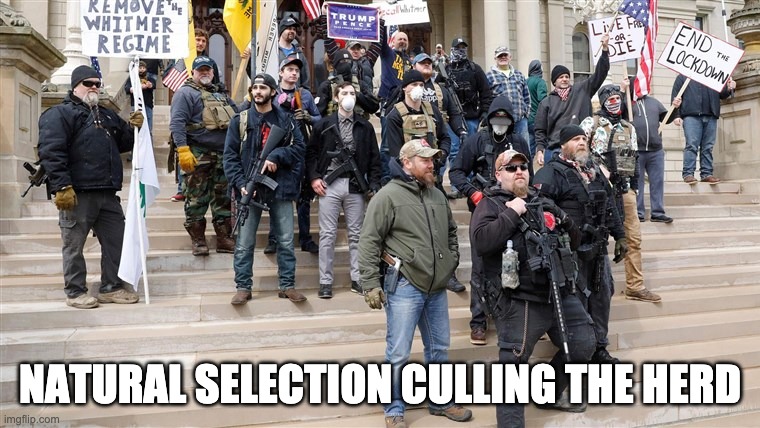 Cull the Herd | NATURAL SELECTION CULLING THE HERD | image tagged in maga,die already,natural selection | made w/ Imgflip meme maker