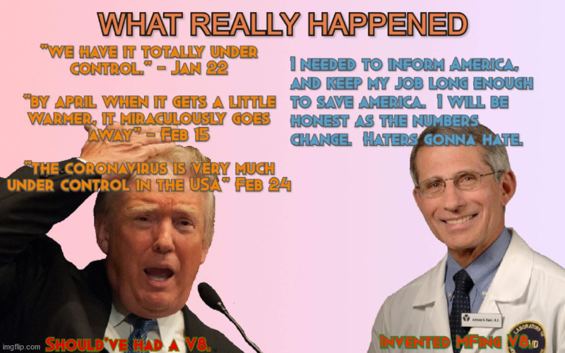 Fauci = Pimp ...  Tremp = Limp | image tagged in donald trump,dump trump,election 2020,joe biden,coronavirus,dumpster fire | made w/ Imgflip meme maker