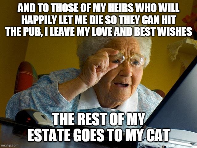 Time to revise the will | AND TO THOSE OF MY HEIRS WHO WILL HAPPILY LET ME DIE SO THEY CAN HIT THE PUB, I LEAVE MY LOVE AND BEST WISHES; THE REST OF MY ESTATE GOES TO MY CAT | image tagged in memes,grandma finds the internet | made w/ Imgflip meme maker