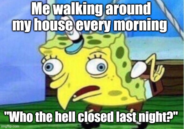 Mocking Spongebob Meme | Me walking around my house every morning; "Who the hell closed last night?" | image tagged in memes,mocking spongebob | made w/ Imgflip meme maker