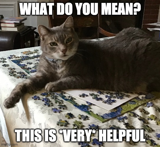 Pru (not) helping | WHAT DO YOU MEAN? THIS IS *VERY* HELPFUL | image tagged in cat,puzzles,caturday,cats,cats being helpful | made w/ Imgflip meme maker