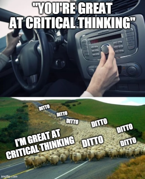 The radio said I was great at critical thinking | "YOU'RE GREAT AT CRITICAL THINKING"; I'M GREAT AT CRITICAL THINKING | image tagged in ditto | made w/ Imgflip meme maker
