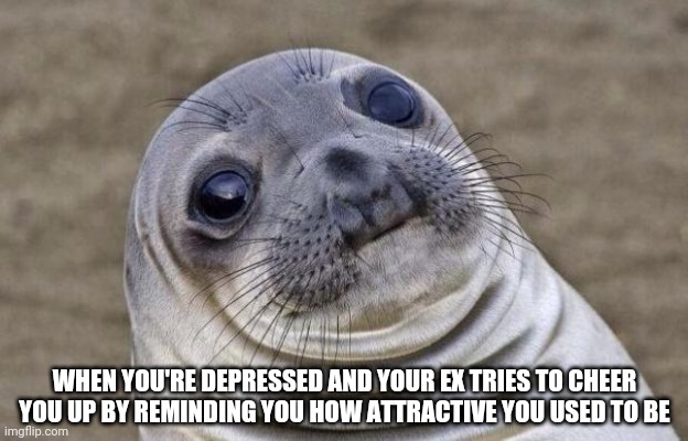 Awkward Moment Sealion | WHEN YOU'RE DEPRESSED AND YOUR EX TRIES TO CHEER YOU UP BY REMINDING YOU HOW ATTRACTIVE YOU USED TO BE | image tagged in memes,awkward moment sealion | made w/ Imgflip meme maker