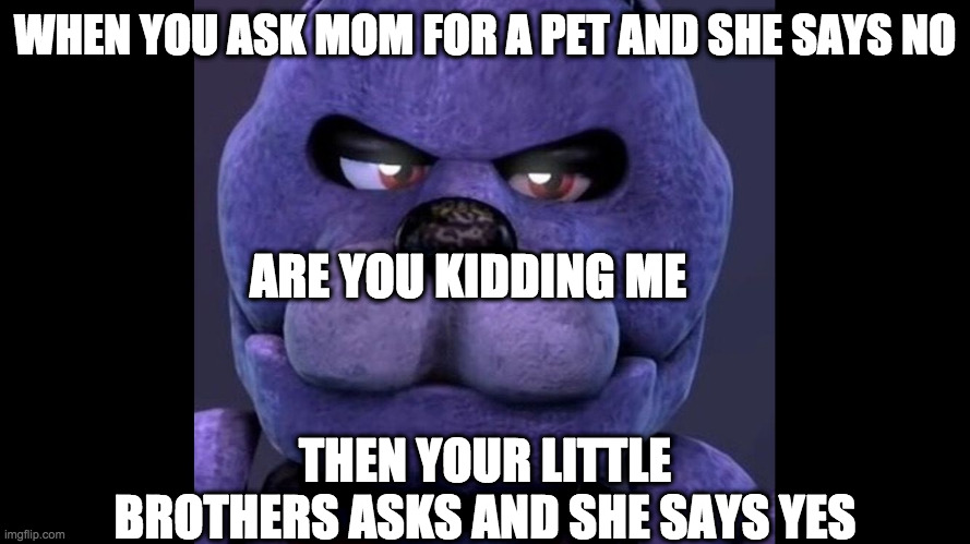 Fnaf funny | WHEN YOU ASK MOM FOR A PET AND SHE SAYS NO; ARE YOU KIDDING ME; THEN YOUR LITTLE BROTHERS ASKS AND SHE SAYS YES | image tagged in fnaf funny | made w/ Imgflip meme maker