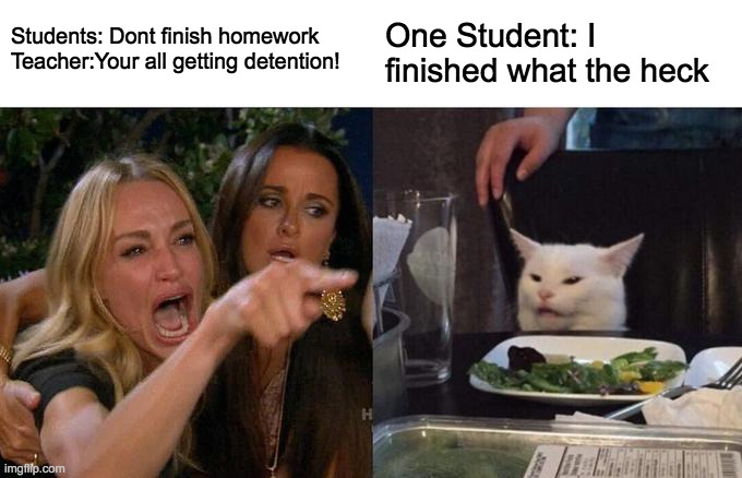 Woman Yelling At Cat Meme | Students: Dont finish homework
Teacher:Your all getting detention! One Student: I finished what the heck | image tagged in memes,woman yelling at cat | made w/ Imgflip meme maker