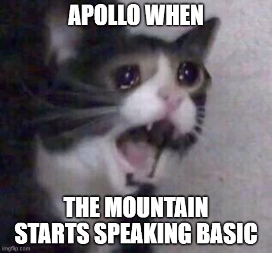 Crying Cat | APOLLO WHEN; THE MOUNTAIN STARTS SPEAKING BASIC | image tagged in crying cat | made w/ Imgflip meme maker