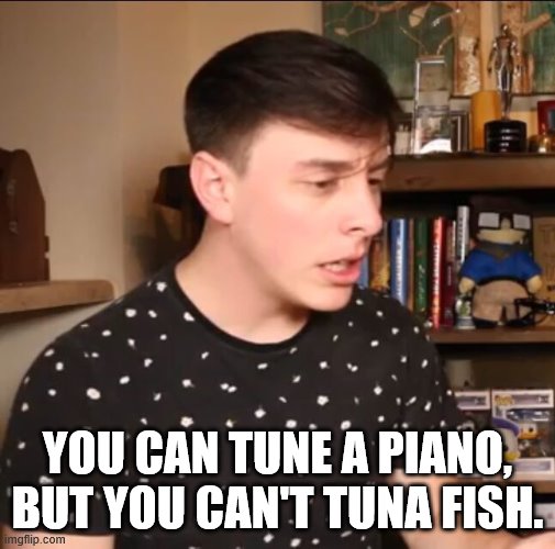 Thomas Sanders meme | YOU CAN TUNE A PIANO, BUT YOU CAN'T TUNA FISH. | image tagged in thomas sanders meme | made w/ Imgflip meme maker