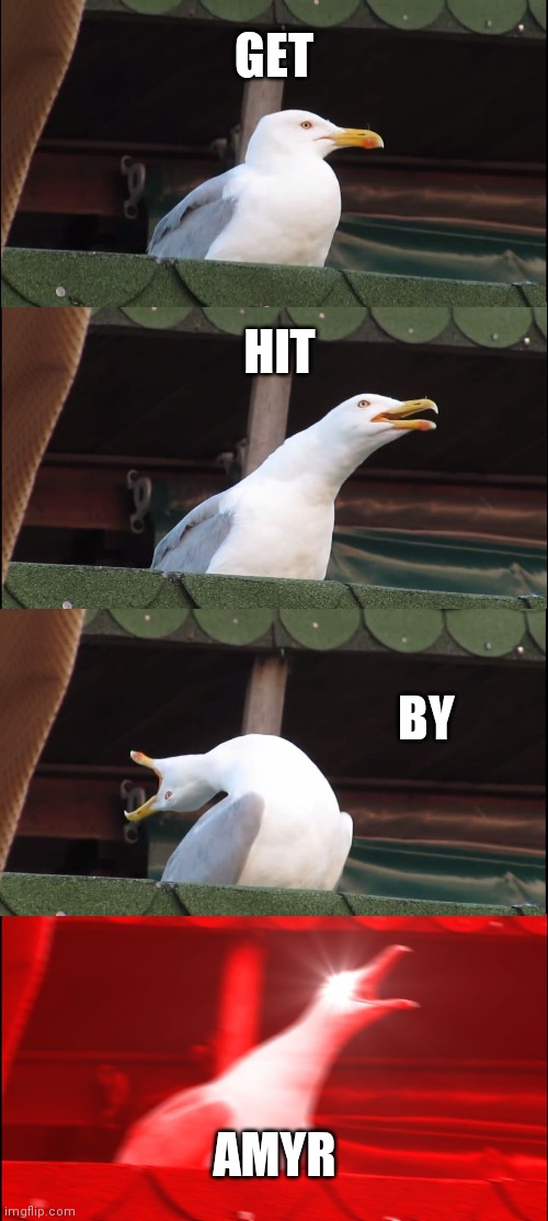 Inhaling Seagull | GET; HIT; BY; AMYR | image tagged in memes,inhaling seagull | made w/ Imgflip meme maker