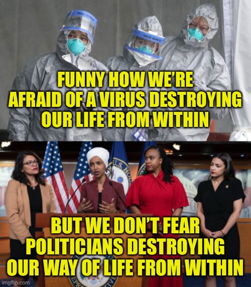 Corona vs Moron-a Infection | FUNNY HOW WE’RE AFRAID OF A VIRUS DESTROYING OUR LIFE FROM WITHIN; BUT WE DON’T FEAR POLITICIANS DESTROYING OUR WAY OF LIFE FROM WITHIN | image tagged in corona,rights,socialism,communism,free market | made w/ Imgflip meme maker
