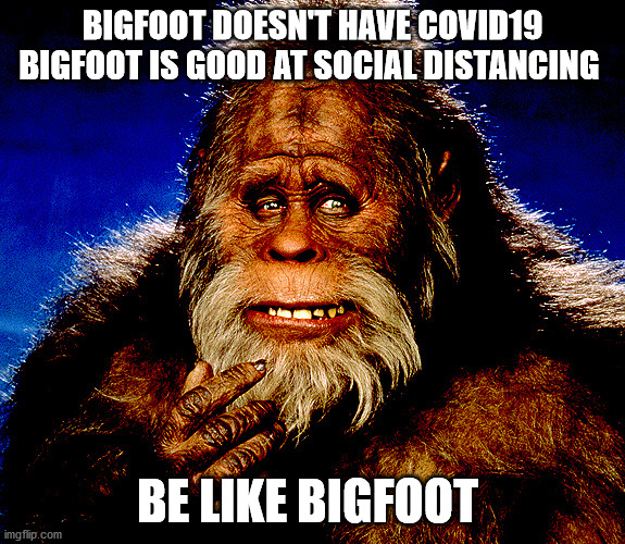 Bigfoot2 | BIGFOOT DOESN'T HAVE COVID19
BIGFOOT IS GOOD AT SOCIAL DISTANCING; BE LIKE BIGFOOT | image tagged in bigfoot2 | made w/ Imgflip meme maker