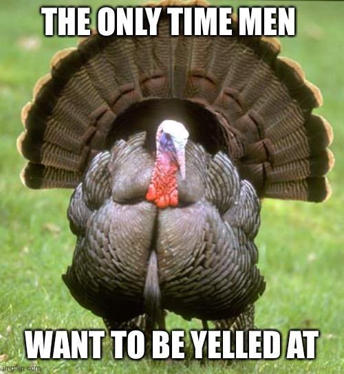 Turkey Meme | THE ONLY TIME MEN; WANT TO BE YELLED AT | image tagged in memes,turkey | made w/ Imgflip meme maker