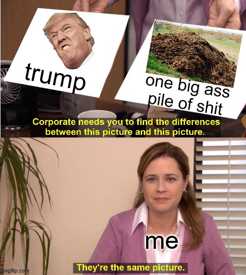 They're The Same Picture | trump; one big ass pile of shit; me | image tagged in memes,they're the same picture | made w/ Imgflip meme maker