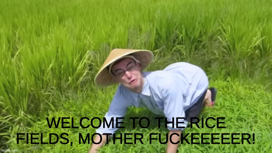WELCOME TO THE RICE FIELDS | WELCOME TO THE RICE FIELDS, MOTHER F**KEEEEER! | image tagged in welcome to the rice fields | made w/ Imgflip meme maker