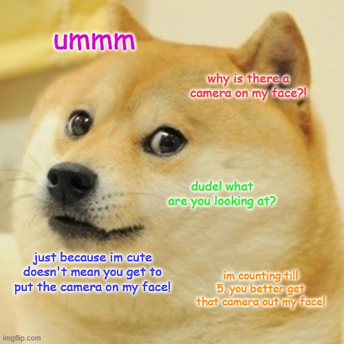 Doge Meme | ummm; why is there a camera on my face?! dude! what are you looking at? just because im cute doesn't mean you get to put the camera on my face! im counting till 5. you better get that camera out my face! | image tagged in memes,doge | made w/ Imgflip meme maker