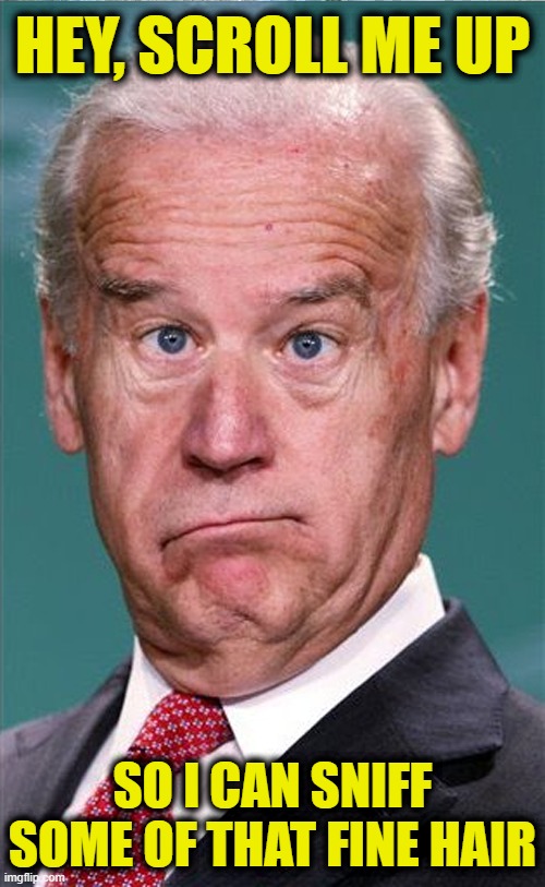 Trump is Facing Some Sniff Competition this Election Cycle | HEY, SCROLL ME UP; SO I CAN SNIFF SOME OF THAT FINE HAIR | image tagged in joe biden | made w/ Imgflip meme maker