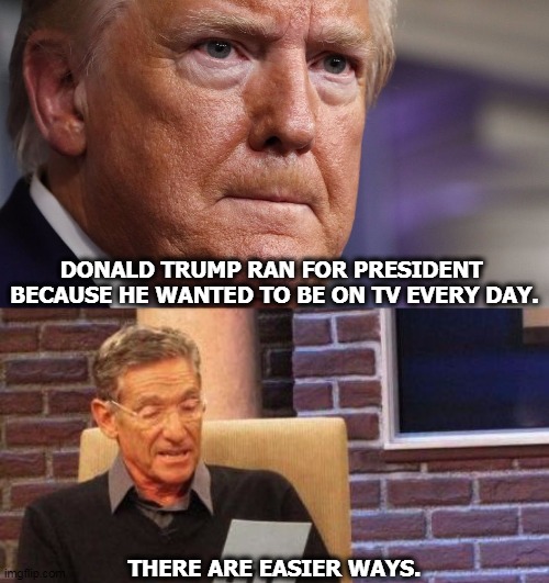 Vanity, vanity, all is vanity. | DONALD TRUMP RAN FOR PRESIDENT 
BECAUSE HE WANTED TO BE ON TV EVERY DAY. THERE ARE EASIER WAYS. | image tagged in maury lie detector,trump,president,television,vanity,narcissism | made w/ Imgflip meme maker