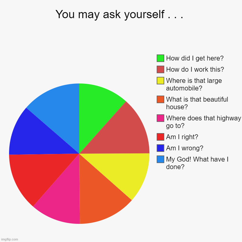 Every Once in a Lifetime | You may ask yourself . . . | My God! What have I done?, Am I wrong?, Am I right?, Where does that highway go to?, What is that beautiful hou | image tagged in charts,pie charts | made w/ Imgflip chart maker