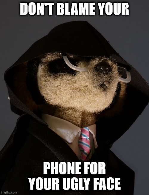 Dark Sergei | DON'T BLAME YOUR; PHONE FOR YOUR UGLY FACE | image tagged in dark sergei | made w/ Imgflip meme maker