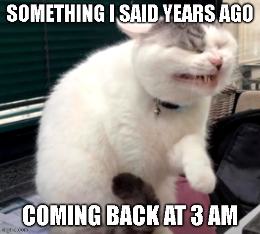 Pained cat | SOMETHING I SAID YEARS AGO; COMING BACK AT 3 AM | image tagged in pained cat | made w/ Imgflip meme maker