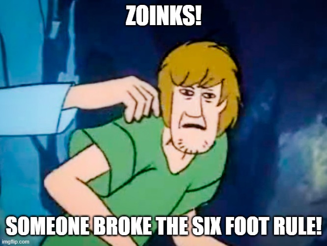 Zoinks! | ZOINKS! SOMEONE BROKE THE SIX FOOT RULE! | image tagged in shaggy meme,scooby doo,corona virus,2020 | made w/ Imgflip meme maker
