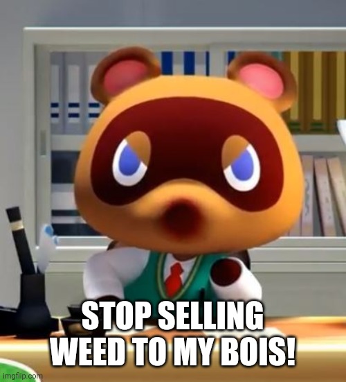 Tom nook | STOP SELLING WEED TO MY BOIS! | image tagged in tom nook | made w/ Imgflip meme maker