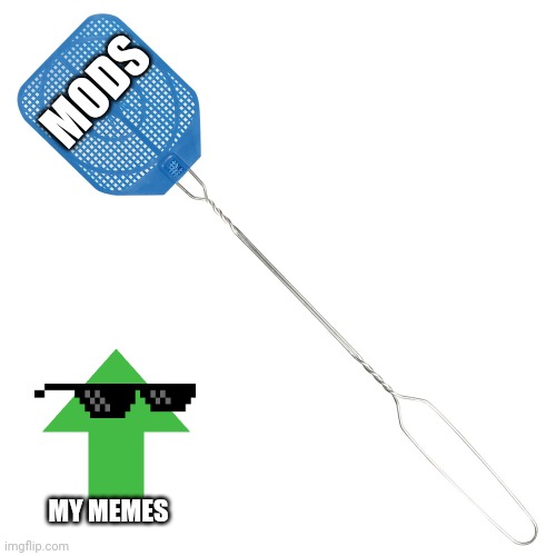 Fly swatter | MODS; MY MEMES | image tagged in fly swatter | made w/ Imgflip meme maker