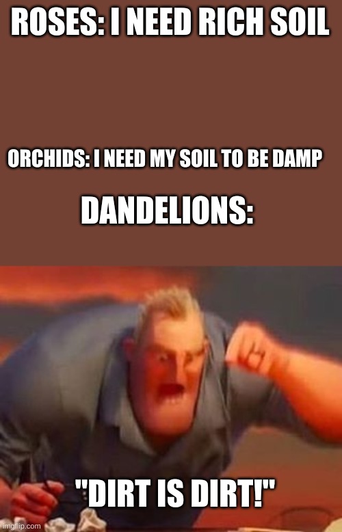 Mr incredible mad | ROSES: I NEED RICH SOIL; ORCHIDS: I NEED MY SOIL TO BE DAMP; DANDELIONS:; "DIRT IS DIRT!" | image tagged in mr incredible mad | made w/ Imgflip meme maker