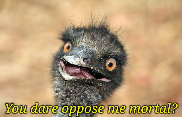 Emu you dare oppose me mortal? Blank Meme Template