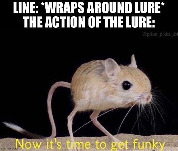 Now it’s time to get funky |  LINE: *WRAPS AROUND LURE*
THE ACTION OF THE LURE: | image tagged in now its time to get funky,fishing,outdoors,fish | made w/ Imgflip meme maker